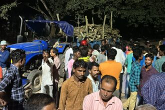 বনদপ্তরের মদতে বেআইনি ভাবে কাটা হচ্ছে জঙ্গলের গাছ।