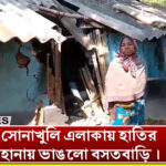 Broken 7 homesteads attacked by elephants