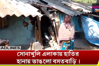 Broken 7 homesteads attacked by elephants
