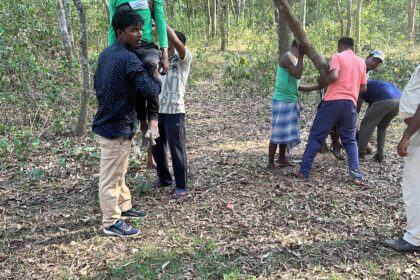 সূর্যকান্ত পরামানিক