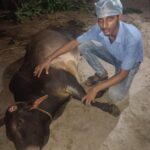 সোহম ভট্ট