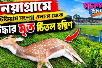 নয়াগ্রামে স্টেডিয়াম সংলগ্ন এলাকা থেকে উদ্ধার মৃত চিতল হরিণ